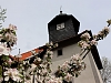 Bild: Pfarrkirche "St. Johannis"
