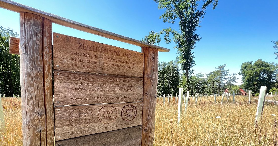 Bild: Ein Schild weist bei Harzrigi auf die jährlichen Neupflanzungen des Zukunftswalds hin. 